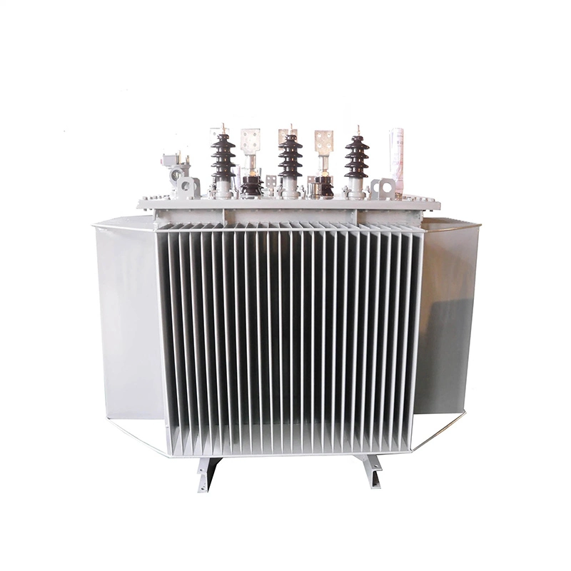 22kv Power Transformer 1000kva Oleum immersum